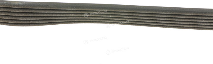 Dayco 6PK2195