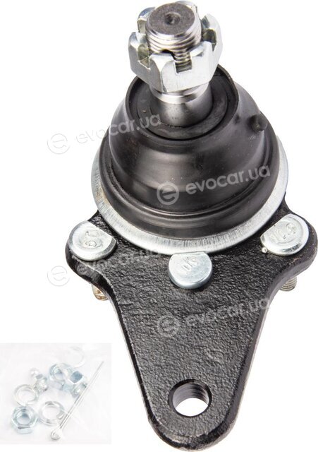 Raiso RL433045T