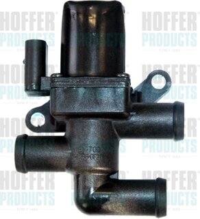 Hoffer 8029909