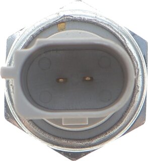Delphi SW90060