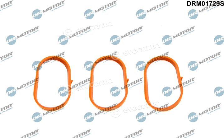Dr. Motor DRM01729S