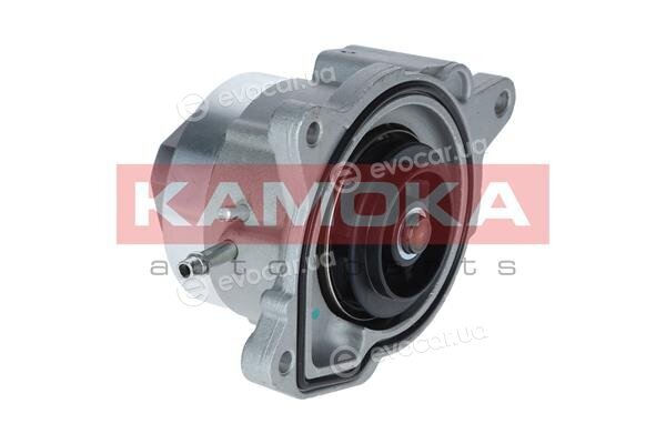 Kamoka T0019