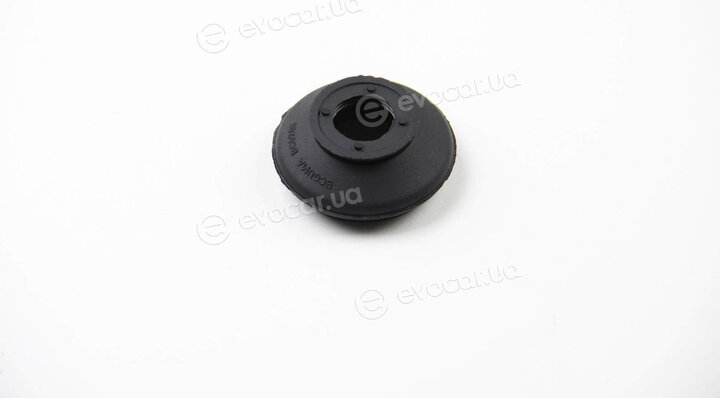 BC Guma 0208