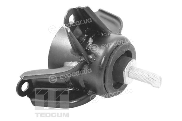 Tedgum TED95921