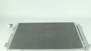 Kale 381500