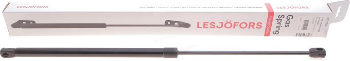 Lesjofors 8172910