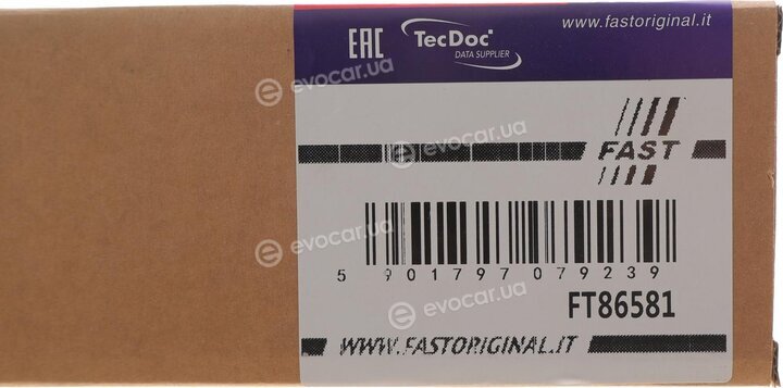 Fast FT86581