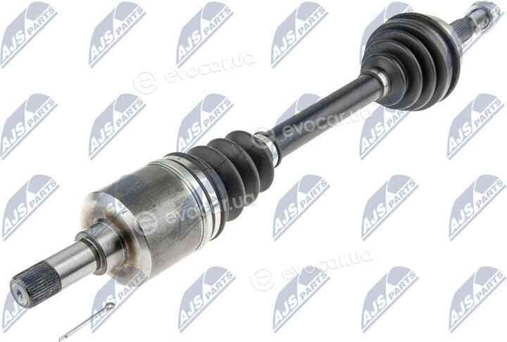 NTY NPW-CT-025