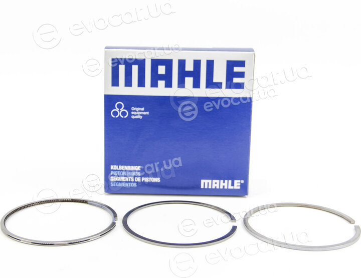 Mahle 001 36 N2