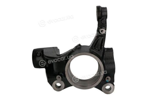Reinhoch RH08-0019