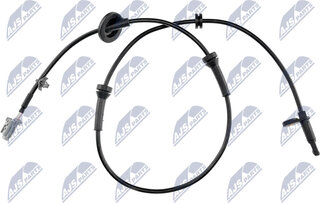 NTY HCA-NS-019