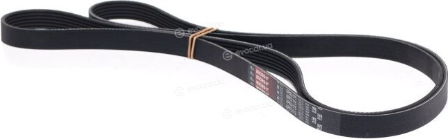 Gates 6PK2175
