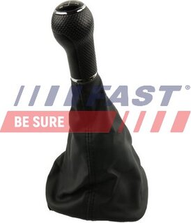 Fast FT09028