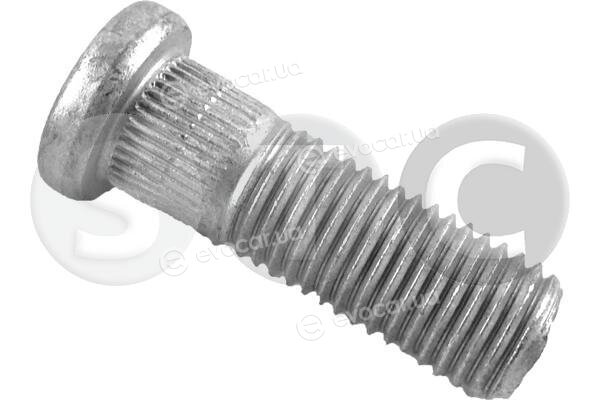 Metalcaucho / STC T439219