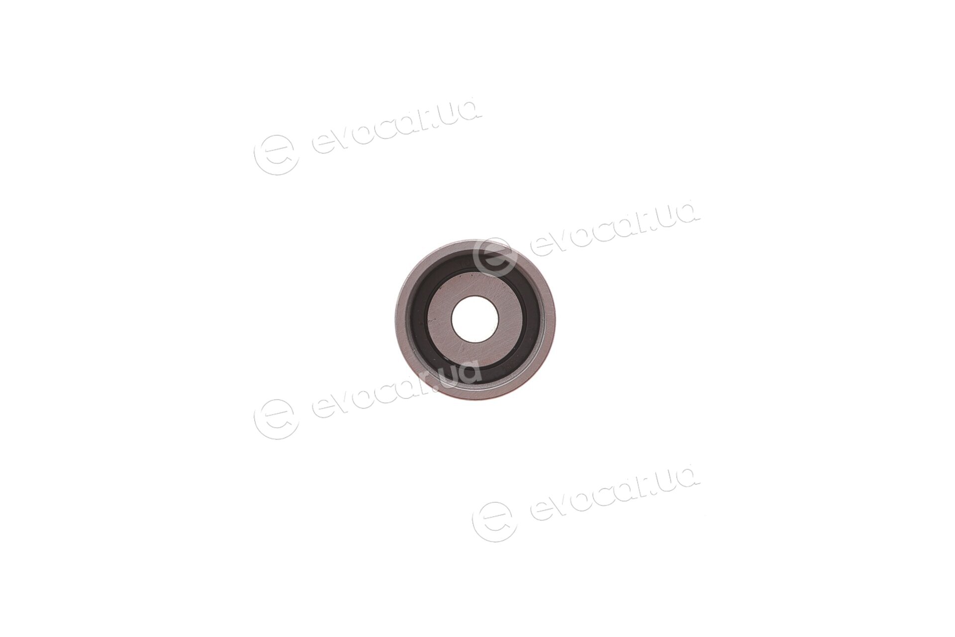 Dayco KTBWP12400
