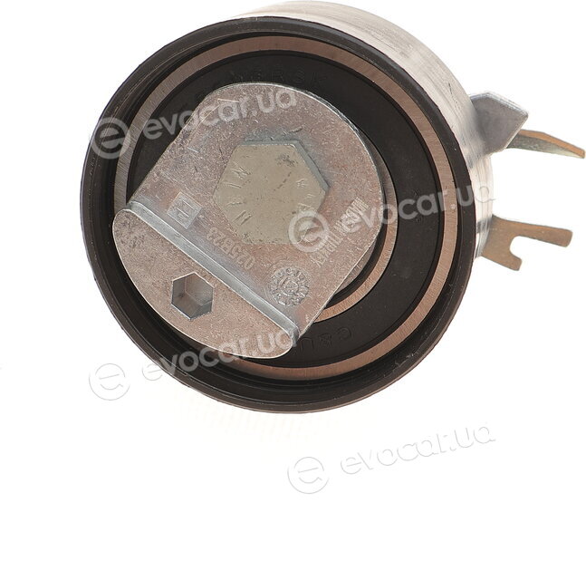 Gates K015565XS