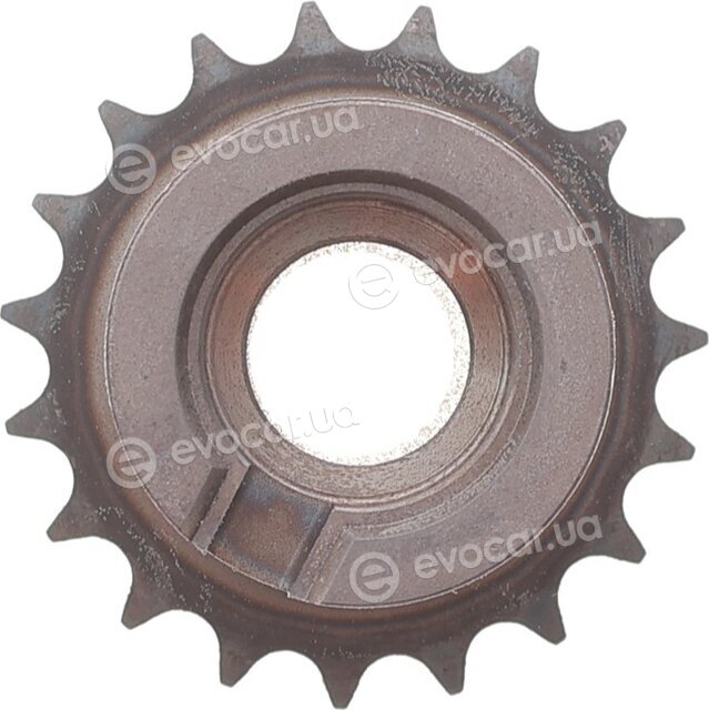 Motive TCK55