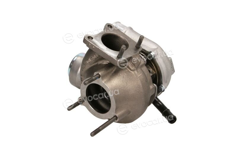 BorgWarner 53049880084