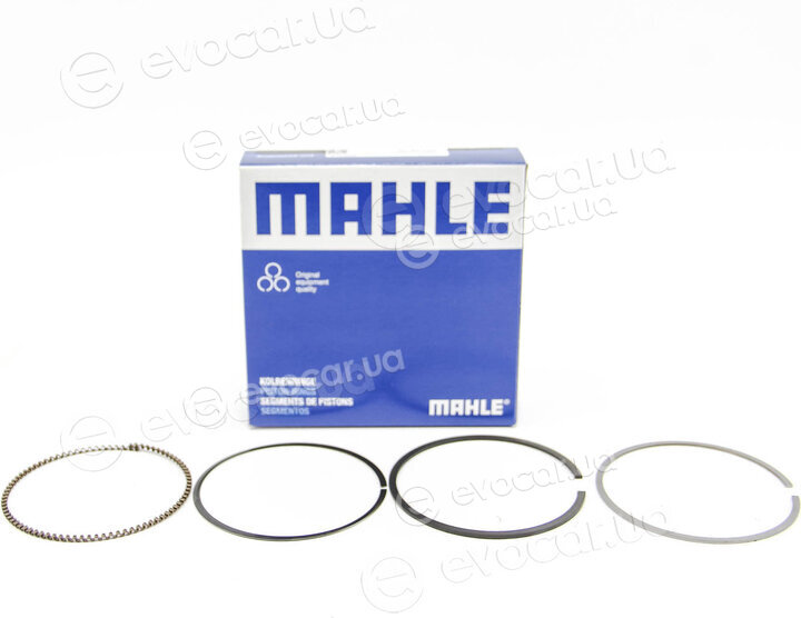 Mahle 004 06 N0