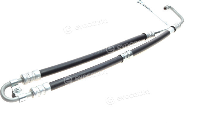 AIC 57681