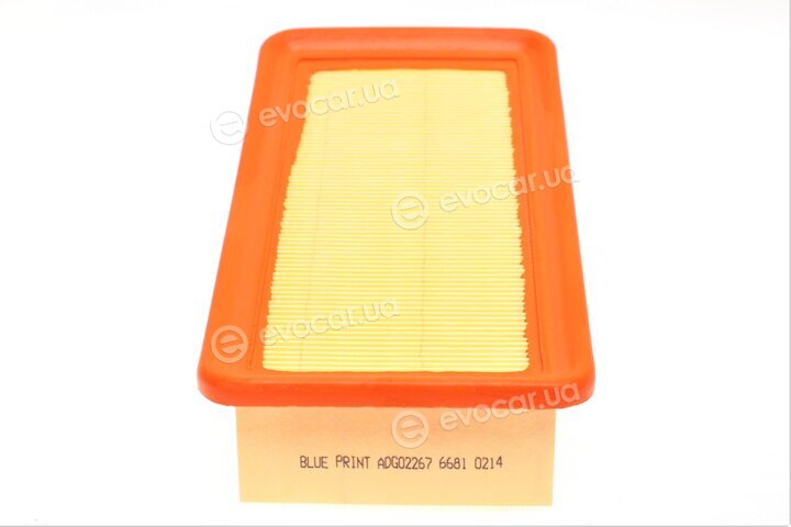 Blue Print ADG02267
