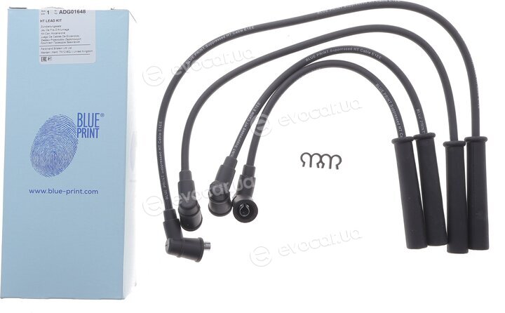 Blue Print ADG01648