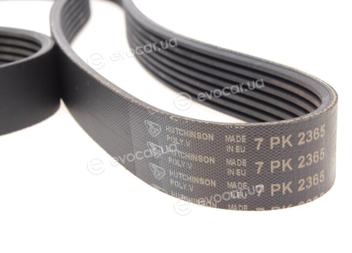Hutchinson 2365 K 7