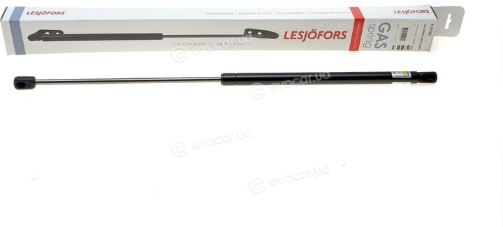 Lesjofors 8127560
