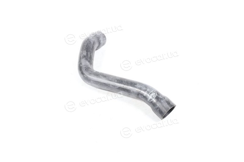 Gates 05-3256