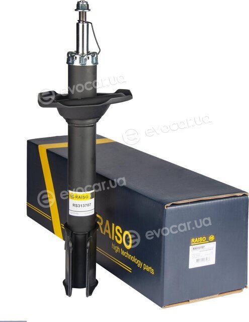 Raiso RS313707