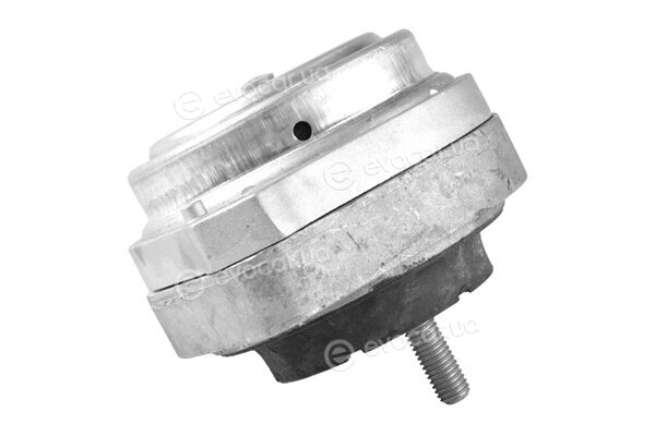 Tedgum 088692