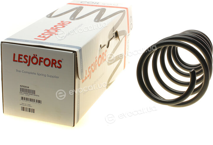 Lesjofors 4292654
