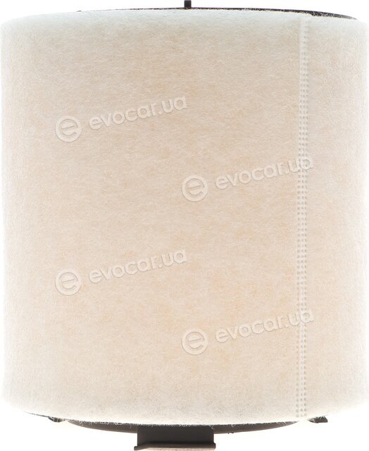 Solgy 103080