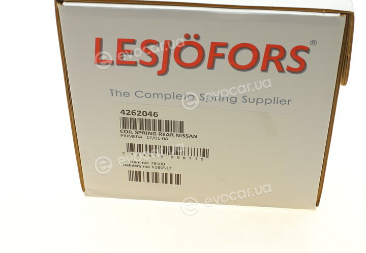 Lesjofors 4262046