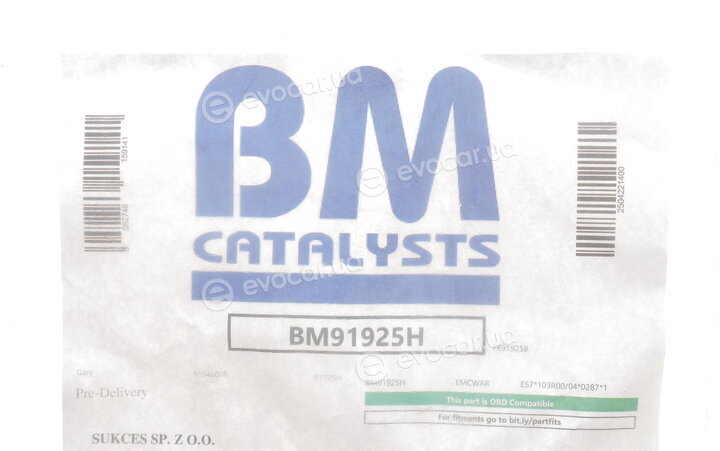 BM Catalysts BM91925H