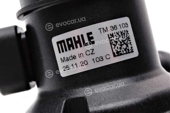 Mahle TM 36 103