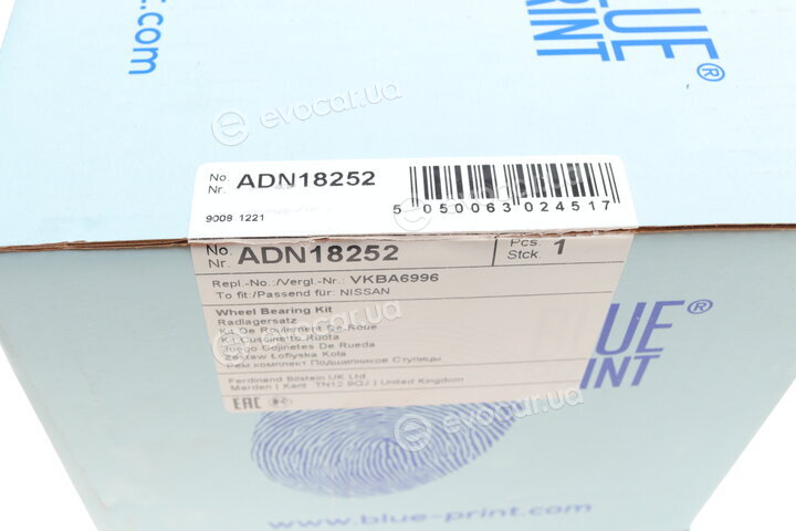 Blue Print ADN18252
