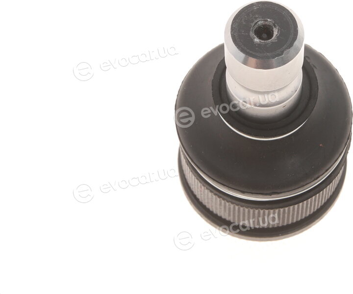 Solgy 203146