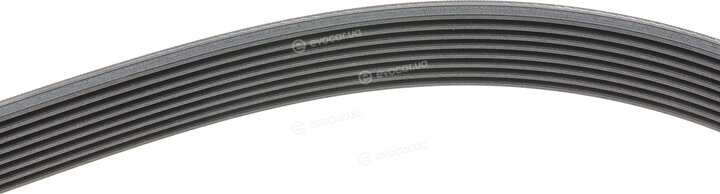 Continental 8PK2035