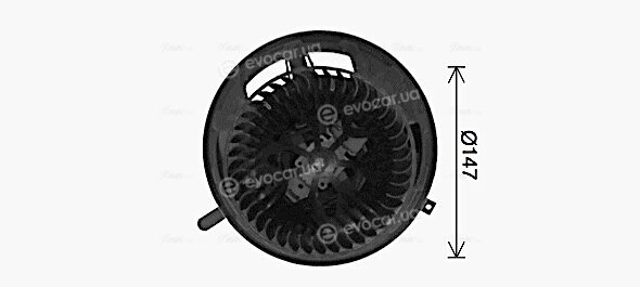 AVA BW8454