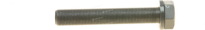 Dayco KTBWP4890