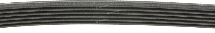 Continental 6PK986
