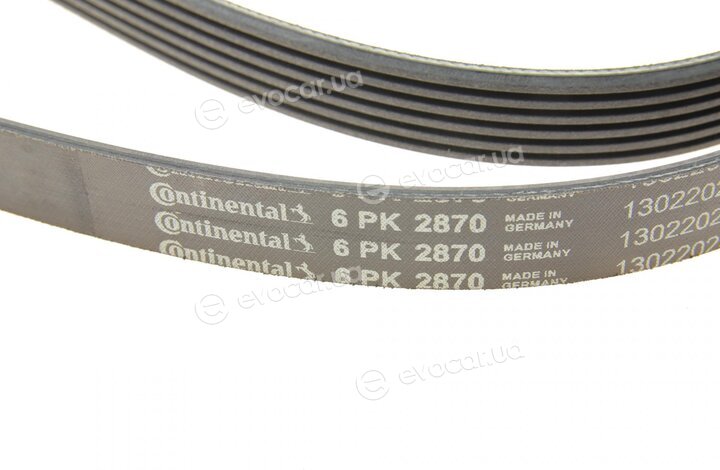 Continental 6PK2870