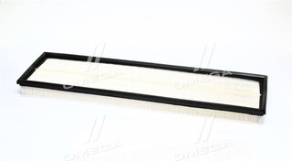Champion CAF100651P