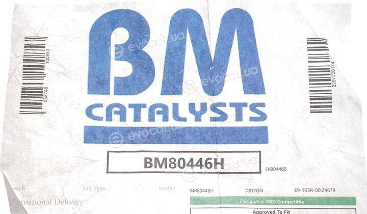 BM Catalysts BM80446H