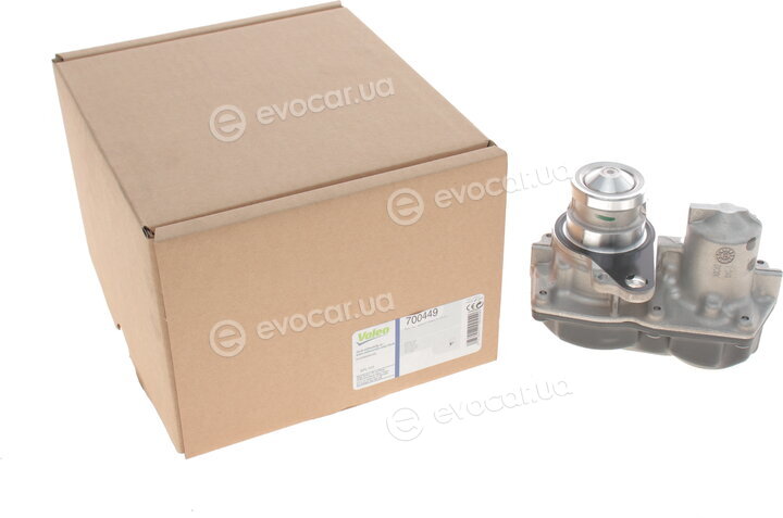 Valeo 700449