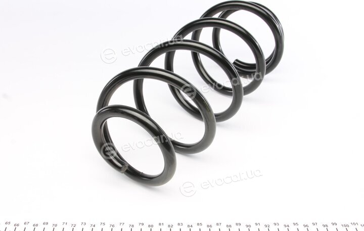 Lesjofors 4255441