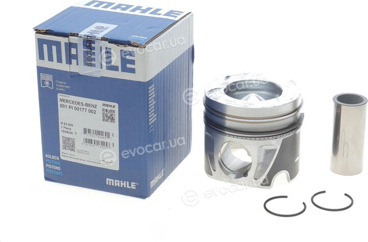 Mahle 001 PI 00177 002