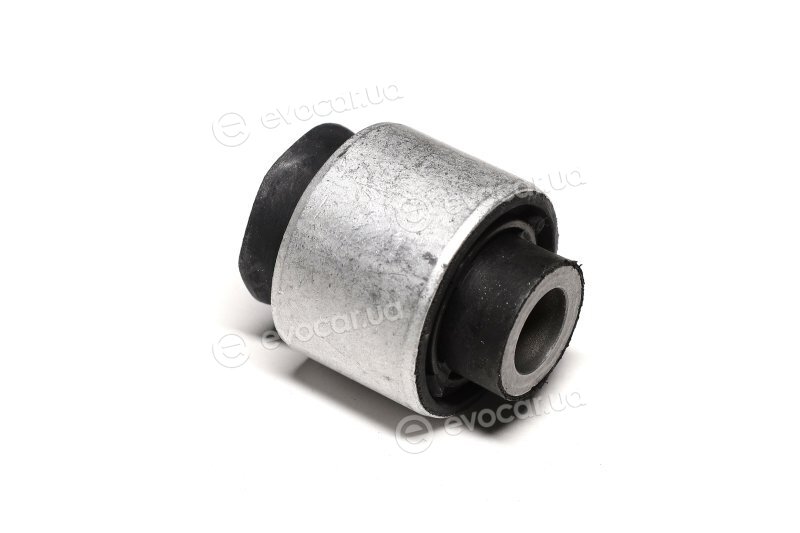 Sasic 2600018