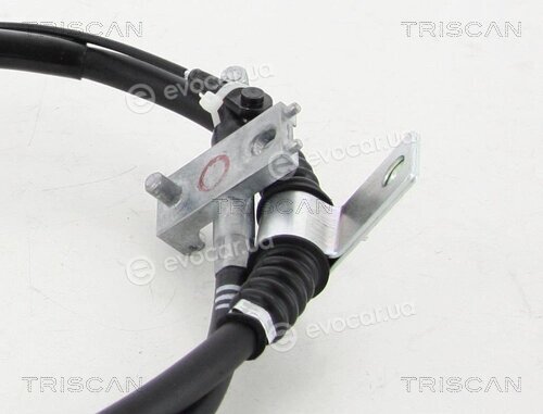 Triscan 8140 44119